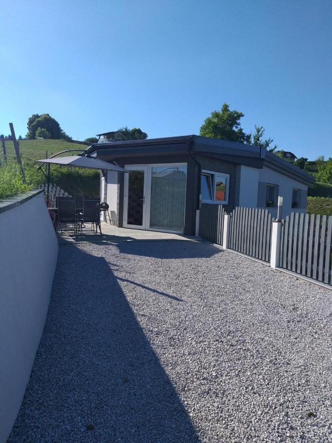 Apartma Lara Lesicno Exterior foto